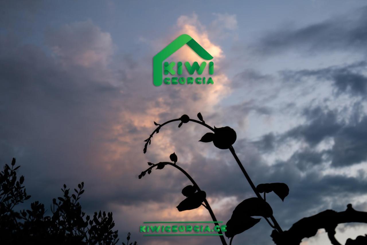 Вілла Kiwi Georgia Кобулеті Екстер'єр фото