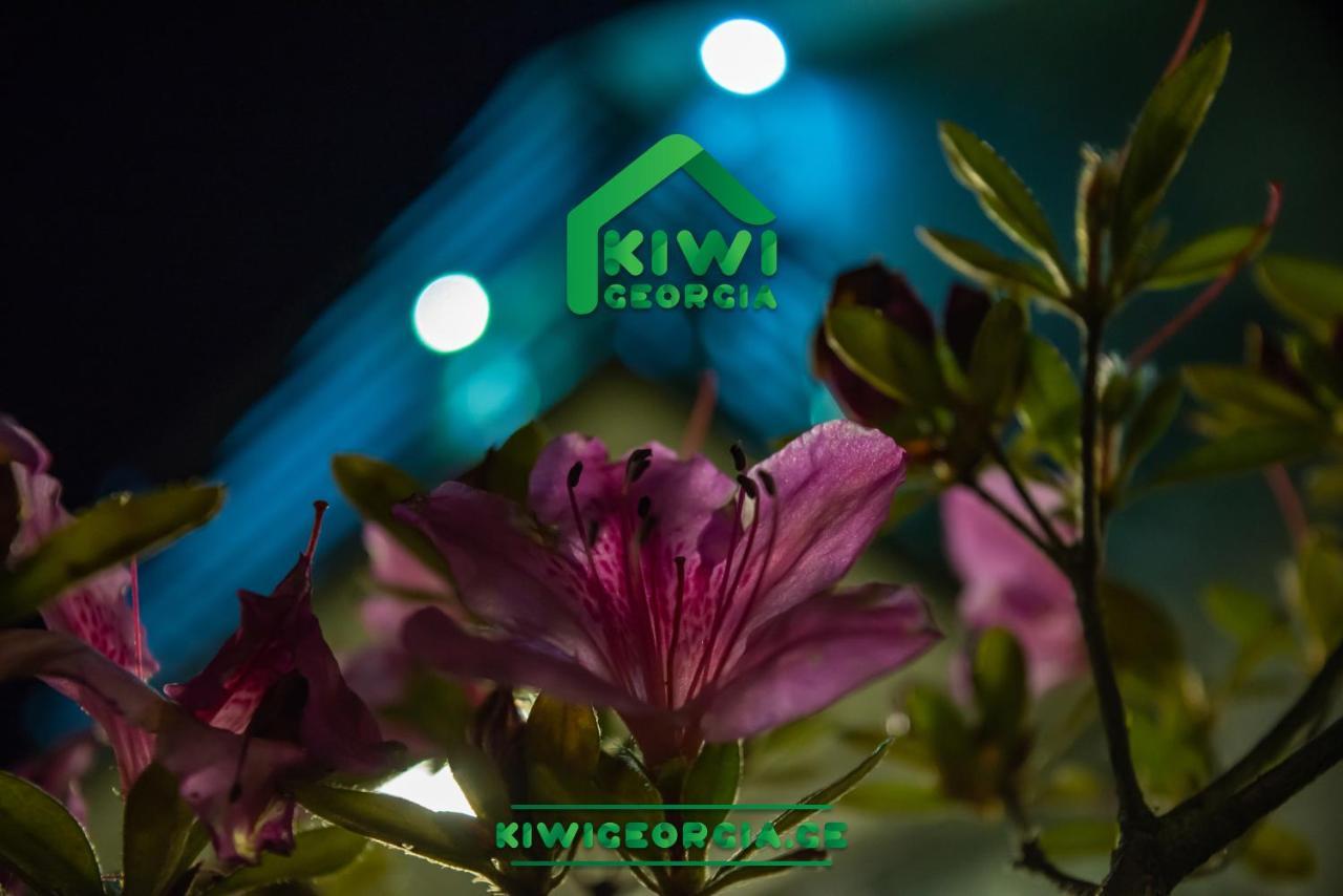 Вілла Kiwi Georgia Кобулеті Екстер'єр фото