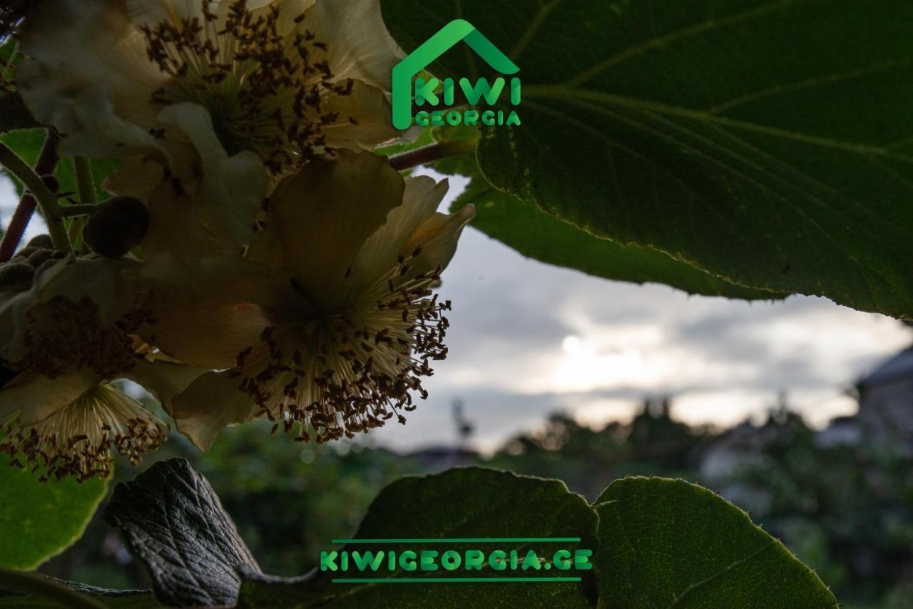 Вілла Kiwi Georgia Кобулеті Екстер'єр фото