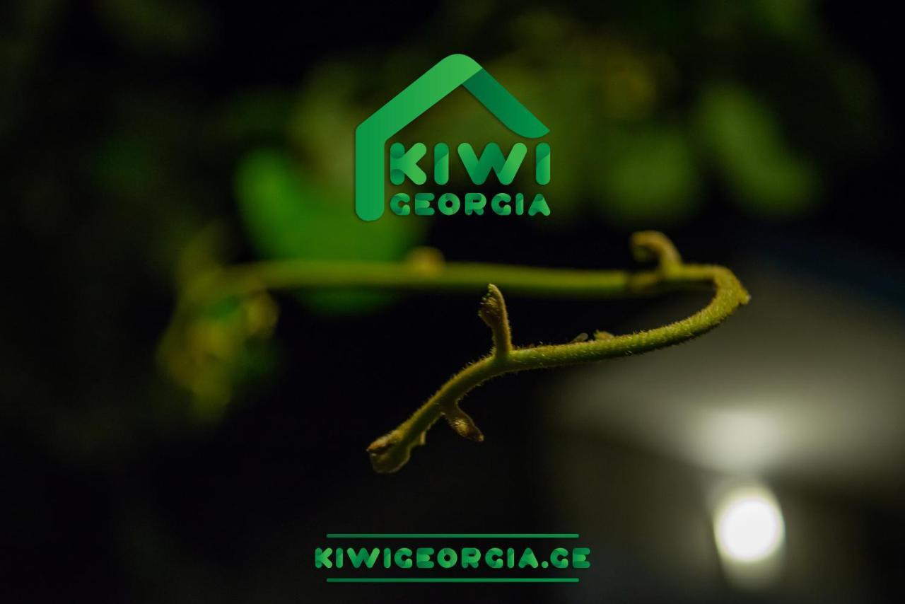 Вілла Kiwi Georgia Кобулеті Екстер'єр фото