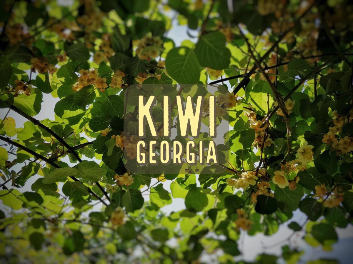 Вілла Kiwi Georgia Кобулеті Екстер'єр фото